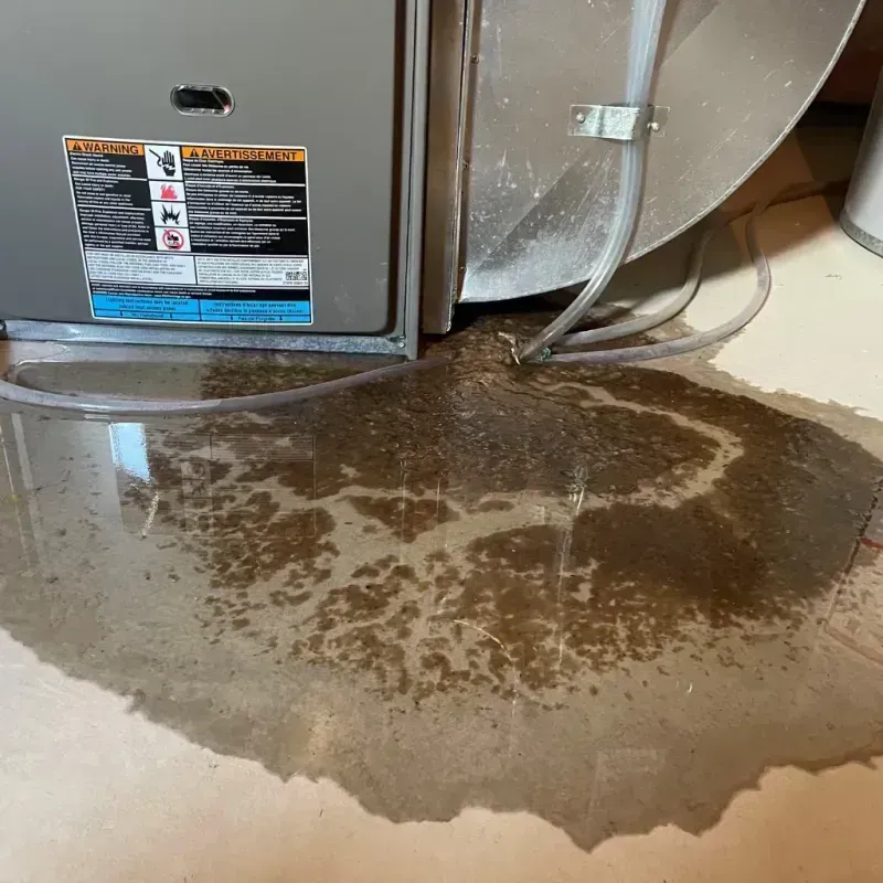 Appliance Leak Cleanup in Sioux County, NE